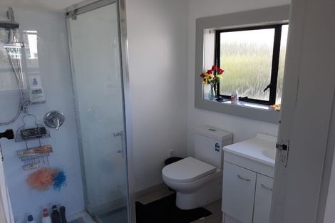 Photo of property in 196 Hastings Street East, Waltham, Christchurch, 8023