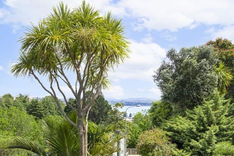 Photo of property in 21 Burns Road, Hospital Hill, Napier, 4110