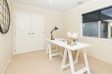 Photo of property in 11 Tennille Street, Flagstaff, Hamilton, 3210