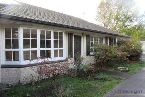 Photo of property in 29a Rata Street, Maeroa, Hamilton, 3200