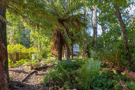Photo of property in 29 Taupahi Road, Turangi, 3334