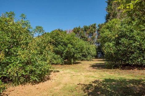 Photo of property in 96 Nisbet Road, Maungatapere, Whangarei, 0179