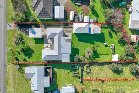 Photo of property in 49 Neal Street, Putaruru, 3411