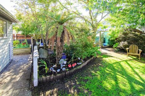 Photo of property in 24 Fergusson Street, Solway, Masterton, 5810