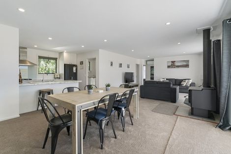 Photo of property in 10a Plunket Street, Omakau, 9376