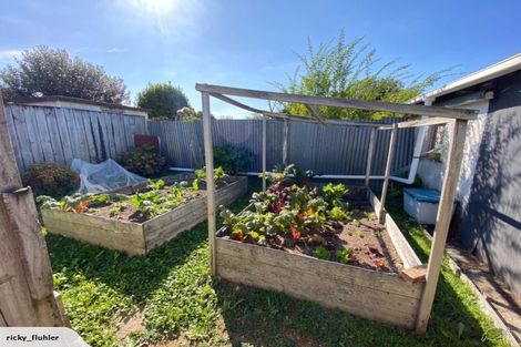 Photo of property in 1079 Heaphy Terrace, Fairfield, Hamilton, 3214