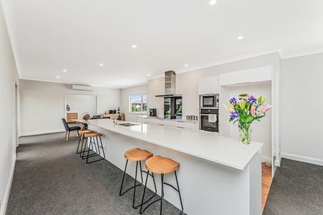 Photo of property in 61 Shadbolt Lane, Rolleston, 7614