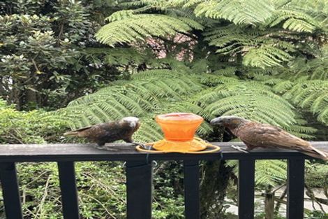 Photo of property in 26 Northland Road, Northland, Wellington, 6012