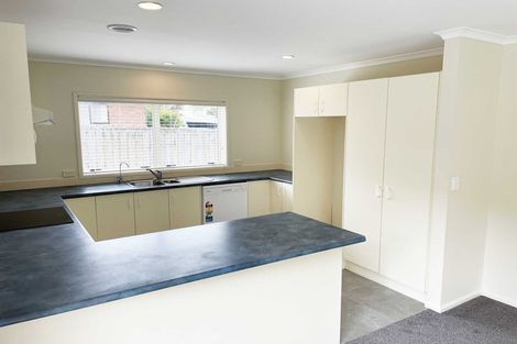 Photo of property in 19 San Bernadino Drive, Henderson, Auckland, 0612