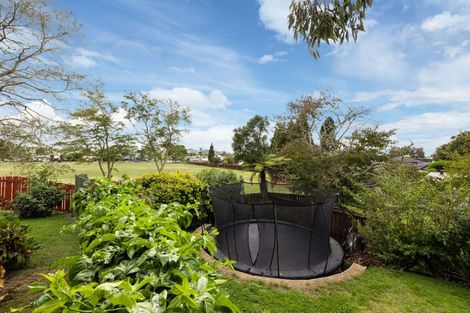 Photo of property in 22 Amanda Avenue, Dinsdale, Hamilton, 3204