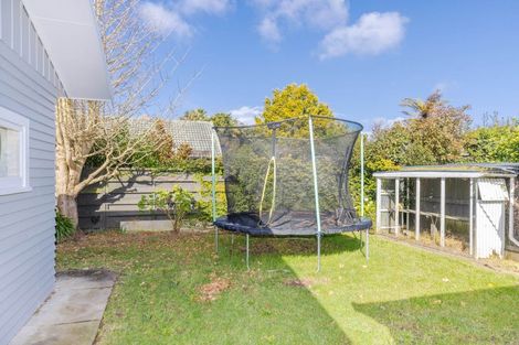 Photo of property in 47a Herbert Road, Queenwood, Hamilton, 3210