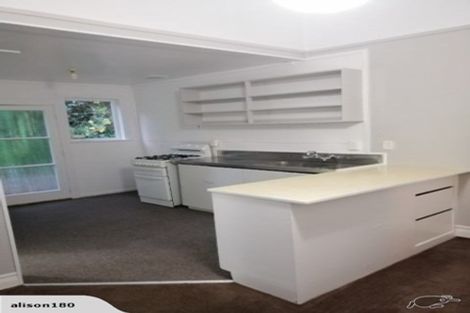 Photo of property in 13 Mortimer Terrace, Aro Valley, Wellington, 6021