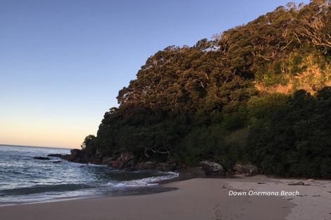 Photo of property in 109 Russell Bruce Place, Onemana, Whangamata, 3691