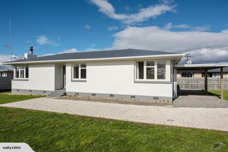 Photo of property in 29 Boyce Street, Renwick, 7204