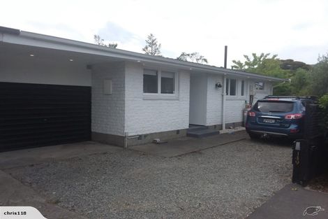 Photo of property in 149 Saint Albans Street, St Albans, Christchurch, 8014