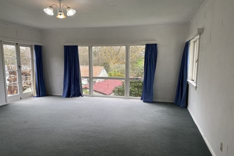 Photo of property in 20 Hillsborough Terrace, Hamilton Central, Hamilton, 3204