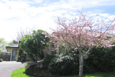 Photo of property in 17 Kaimai View Drive, Ohauiti, Tauranga, 3112