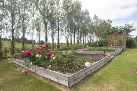 Photo of property in 156 Mount Michael Road, Fairlie, 7987