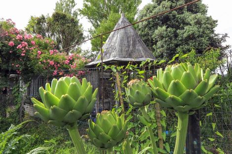 Photo of property in 37 Gillies Crescent, Waimarama, Havelock North, 4294