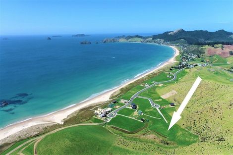 Photo of property in 16 Joyce Place, Opito Bay, Whitianga, 3592