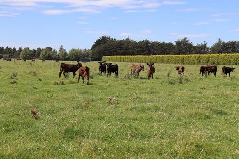 Photo of property in 115 Winton Substation Road, Winton, 9783