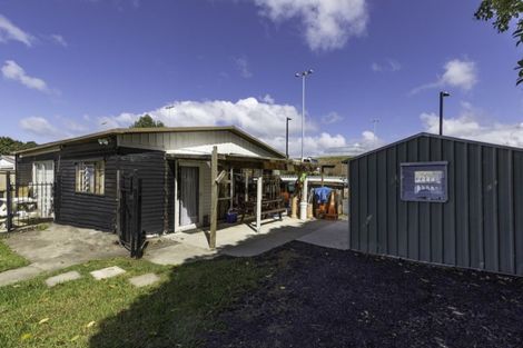 Photo of property in 30 Laurel Street, Mount Albert, Auckland, 1025