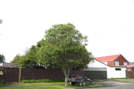 Photo of property in 19 Nikau Street, Inglewood, 4330