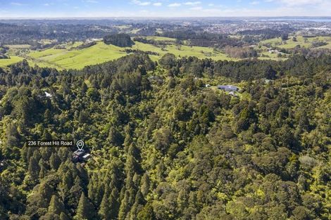Photo of property in 236 Forest Hill Road, Waiatarua, Auckland, 0612