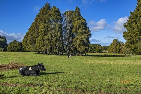 Photo of property in 93 Station Road, Kaikohe, 0474