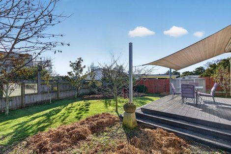 Photo of property in 17 Naples Street, Martinborough, 5711