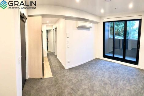 Photo of property in 219/428 Dominion Road, Mount Eden, Auckland, 1024