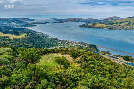 Photo of property in 66 Kakapo Street, Saint Leonards, Dunedin, 9022