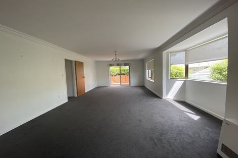 Photo of property in 15a Laing Place, Otumoetai, Tauranga, 3110