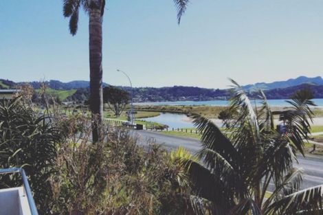 Photo of property in 63 Buffalo Beach Road, Whitianga, 3510
