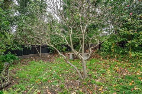 Photo of property in 52 Forest Road, Raumati South, Paraparaumu, 5032