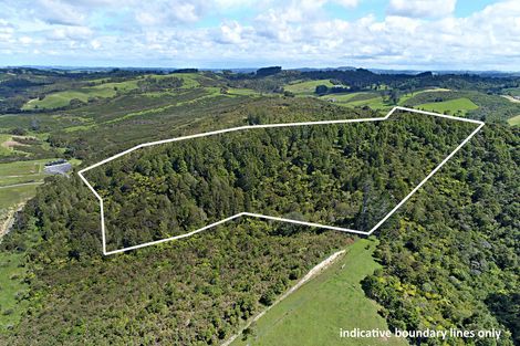 Photo of property in 244a Blackbridge Road, Dairy Flat, 0794