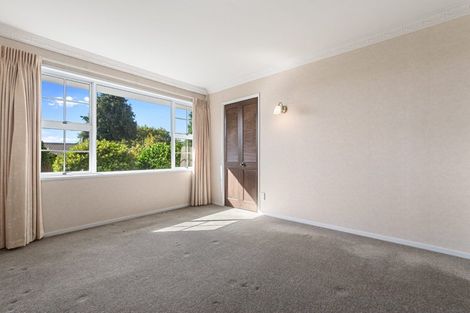 Photo of property in 22a Sixth Avenue, Tauranga, 3110
