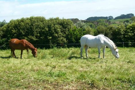 Photo of property in 20 Waipipi Wharf Road, Pollok, Waiuku, 2683