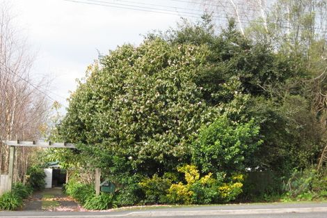 Photo of property in 8 Masters Avenue, Hillcrest, Hamilton, 3216