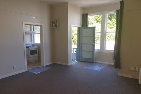 Photo of property in 45 Adams Terrace, Aro Valley, Wellington, 6021