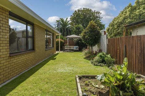 Photo of property in 3/478 Devonport Road, Tauranga South, Tauranga, 3112