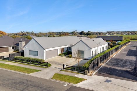 Photo of property in 163a Pharazyn Street, Maewa, Feilding, 4702