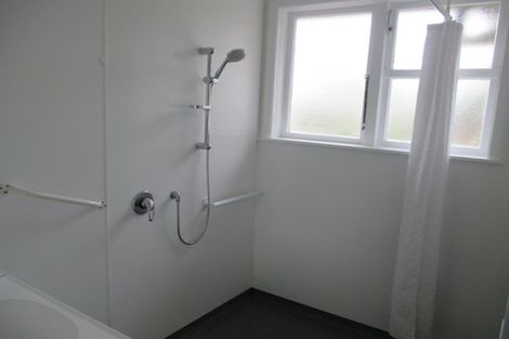 Photo of property in 116 Limbrick Street, Terrace End, Palmerston North, 4410