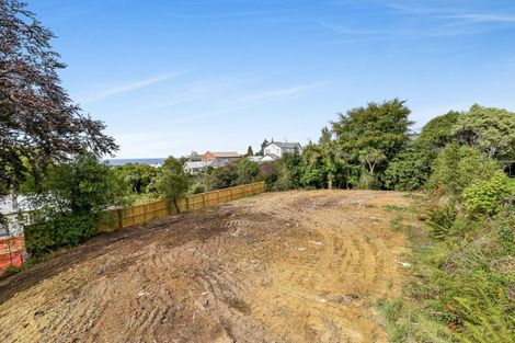 Photo of property in 15 Durham Street, Mornington, Dunedin, 9011