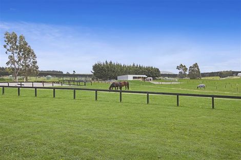 Photo of property in 812 Oxford Road, Fernside, Rangiora, 7471