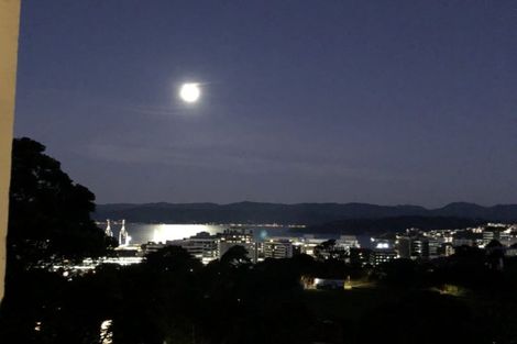 Photo of property in 37 Patanga Crescent, Thorndon, Wellington, 6011