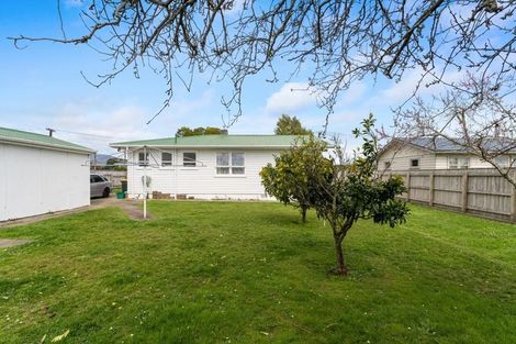 Photo of property in 21 Cornwall Street, Levin, 5510