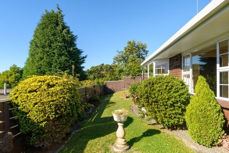 Photo of property in 22a Sixth Avenue, Tauranga, 3110