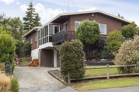 Photo of property in 217 Dalziel Road, Brockville, Dunedin, 9011