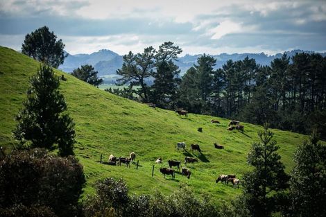 Photo of property in 118 Pukewera Road, Waihi, 3682